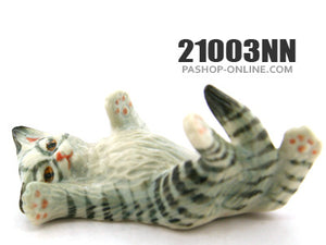 21003NN Cat No. 3