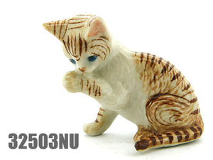 32503NU Cat No.3