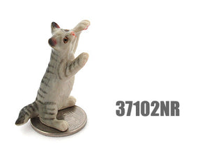 37102NR Grey Cat