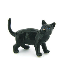 Load image into Gallery viewer, 47201NV Black Cat
