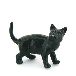 47201NV Black Cat