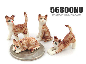56800NU Mini Cat set 4 pcs.