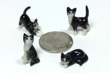 Load image into Gallery viewer, 56800NB Mini Black Cat set
