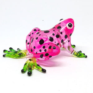 Glass Frog Black, Dot, Pink