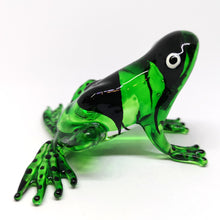 Load image into Gallery viewer, Glass Frog Black Back, Green กบ
