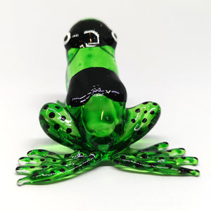 Glass Frog Black Back, Green กบ