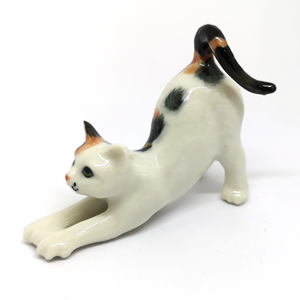 55401NN Tri Color Cat Stretching