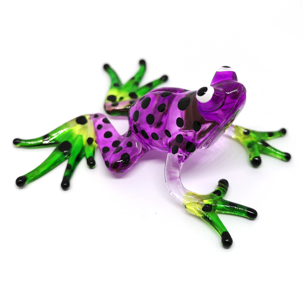 Glass Frog, Purple กบกระโดดลายจุด