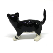 Load image into Gallery viewer, 47201NB Black Cat
