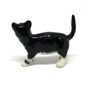 47201NB Black Cat