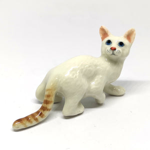 50302NN White Tabby Bengal Cat No. 2