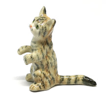 Load image into Gallery viewer, 50303NN Tabby Rex Cat No. 3
