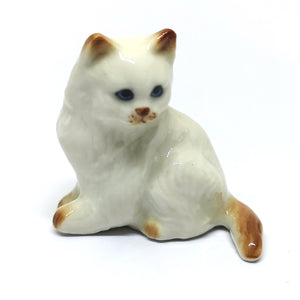 37202NN Persian Cat