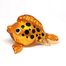 Load image into Gallery viewer, Glass Puffer Fish, Black Dot Orange, S ปลาเงาะ
