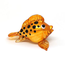 Load image into Gallery viewer, Glass Puffer Fish, Black Dot Orange, S ปลาเงาะ
