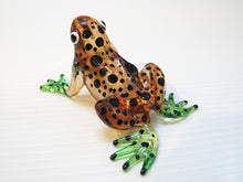 Load image into Gallery viewer, Glass Frog Black, Dot, Brown กบ
