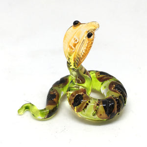 Tiny Glass Snake งูจิ๋ว