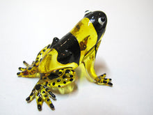 Load image into Gallery viewer, Glass Frog Black Back, Yellow กบ
