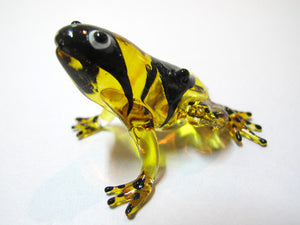 Glass Frog Black Back, Yellow กบ
