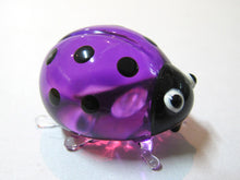 Load image into Gallery viewer, Glass Ladybug SS, Purple
