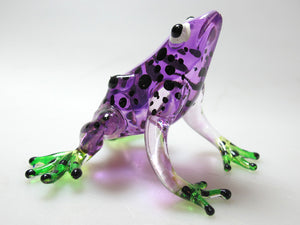 Glass Frog, Purple กบ