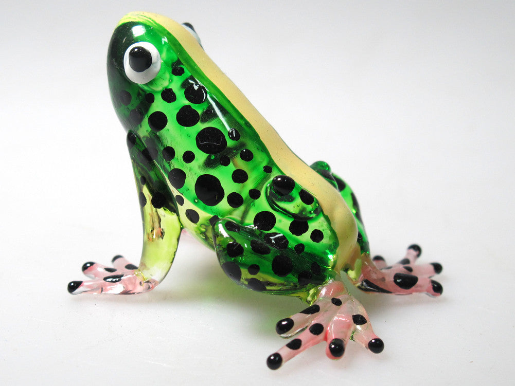 Glass Frog, Green กบ