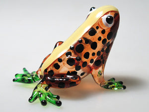 Glass Frog, Brown กบ