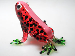 Glass Frog, Red กบ