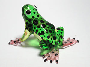 Glass Frog Black Dot, Green กบ