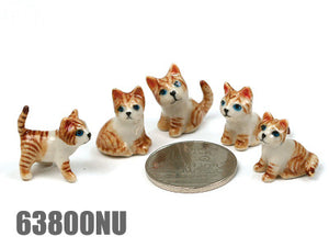 63800NU Mini Cat 5 pcs,Orange
