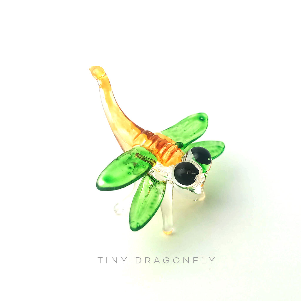 Tiny Dragonfly