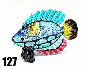 Glass Fish 127 ปลา