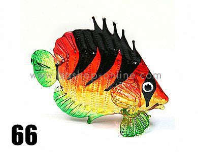 Glass Fish 066