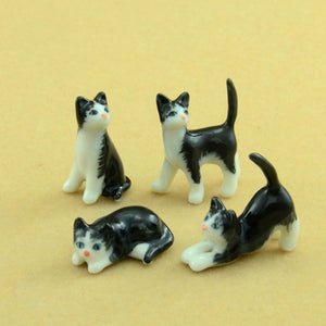 56800NB Mini Black Cat set